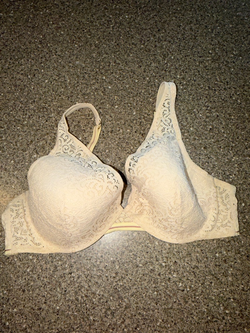 Lace T-Shirt Bra in Ivory - Women Intimates